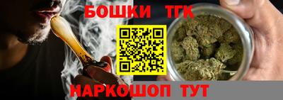 винт Сланцы