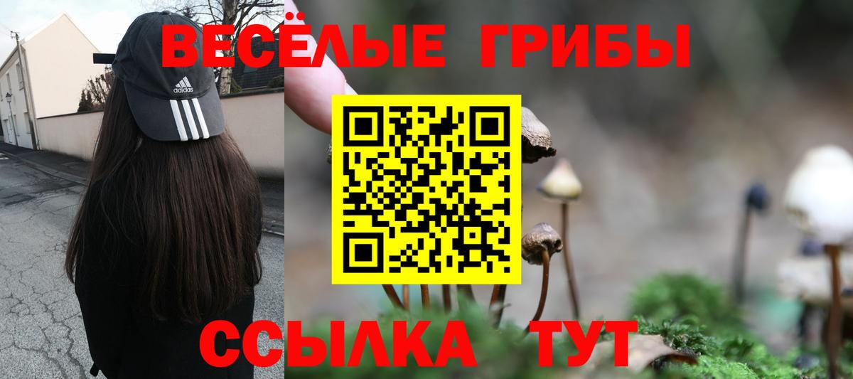 Галлюциногенные грибы Psilocybe Севастополь